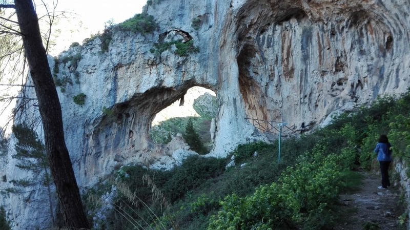 Pineta Di Grotta Grattara, Sicilia cefalu