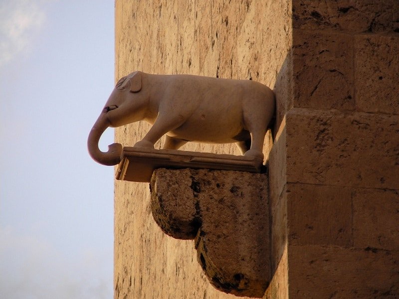 Torre dell'Elefante, cosa fare a cagliari