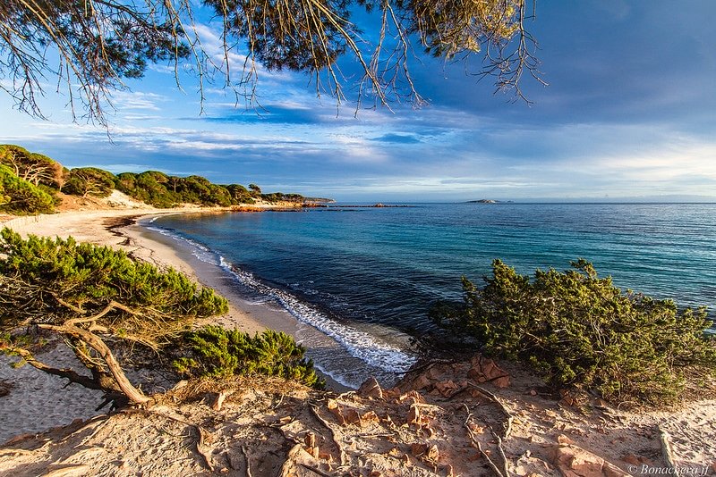 Spiaggia di Palombaggia, Porto-Vecchio, Corsica