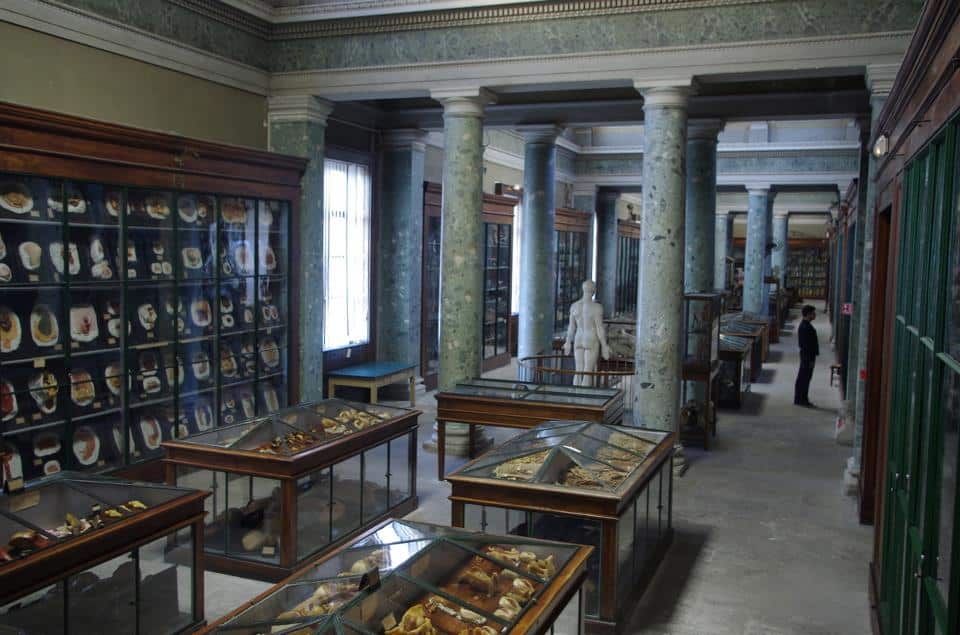 Museo di Anatomia di Montpellier