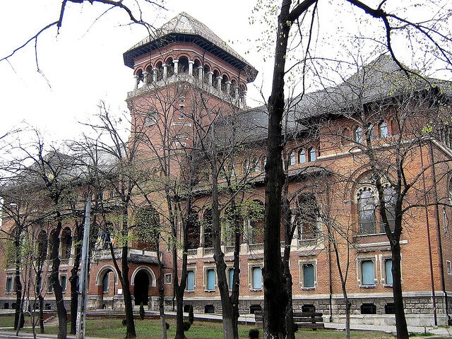 Museo Contadino Rumeno Bucarest