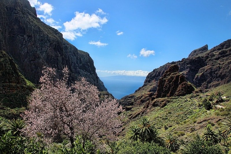 10 cose da fare a Tenerife