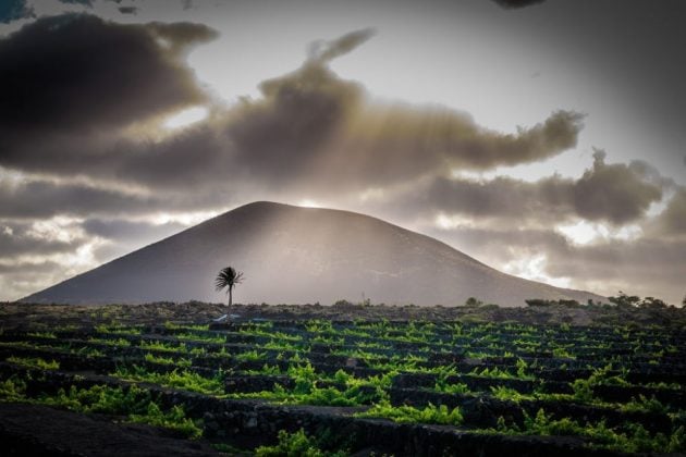 Le 12 cose da vedere a Lanzarote