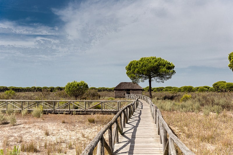Parco Nazionale di Doñana