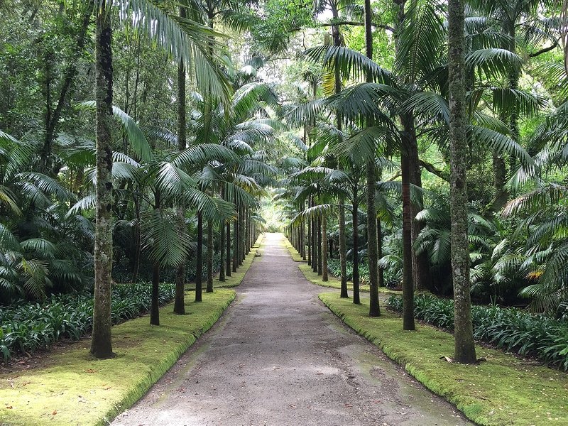 Giardino Botanico di Terra Nostra, Azzorre
