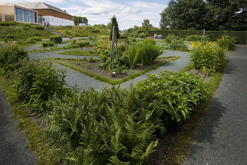 Giardino botanico Ringve, Trondheim