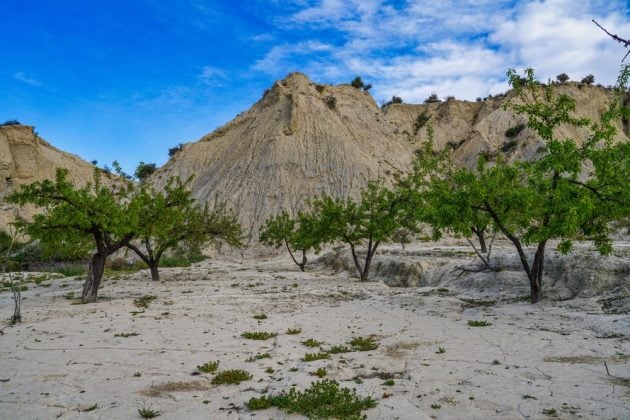 Le 16 cose da vedere nella regione di Murcia