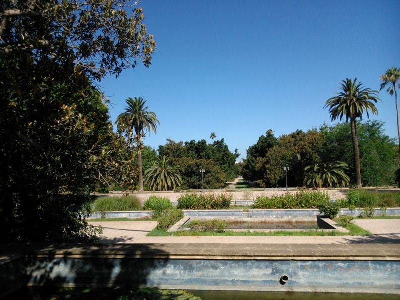Giardino botanico; saggi botanici, Rabat