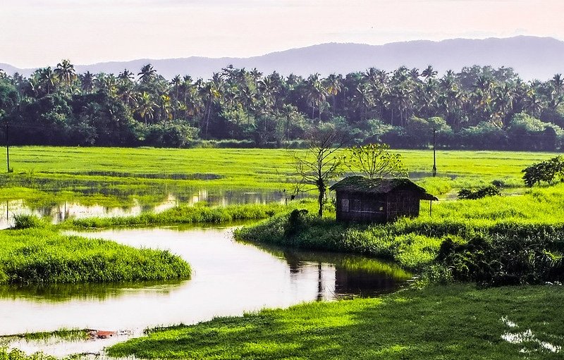 Canali del Kerala, India