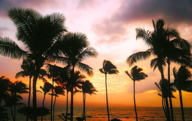 Le 14 cose da vedere alle Hawaii