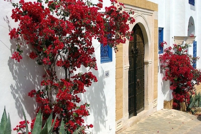 Tunisi