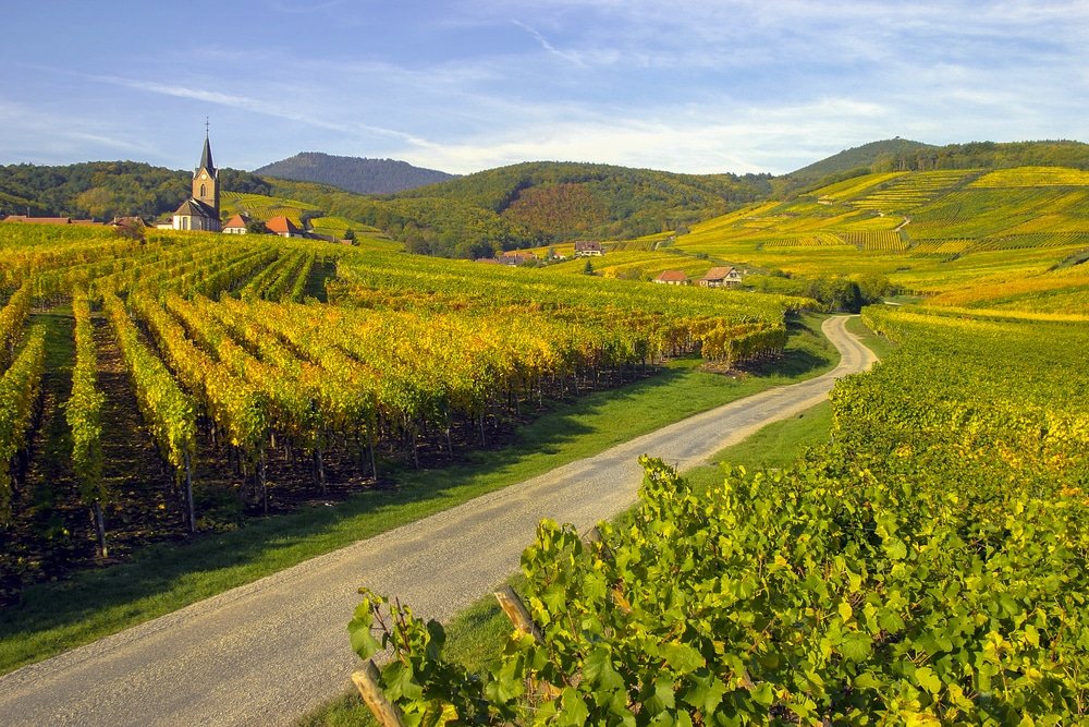 Strada del vino dell'Alsazia