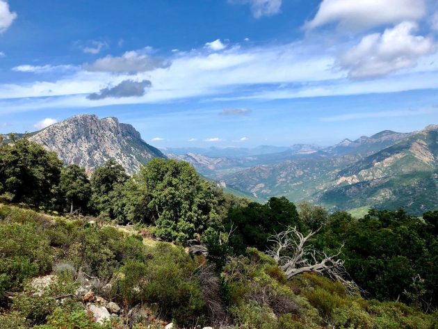 Gli 11 trekking più belli di Sardegna